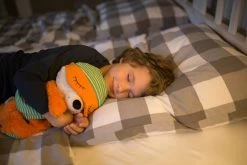 Nici 48061 Schlafmützen Fuchs Finjo Ca 22cm Plüsch Kuscheltier -Nici 42683 09 Image 2048x1365