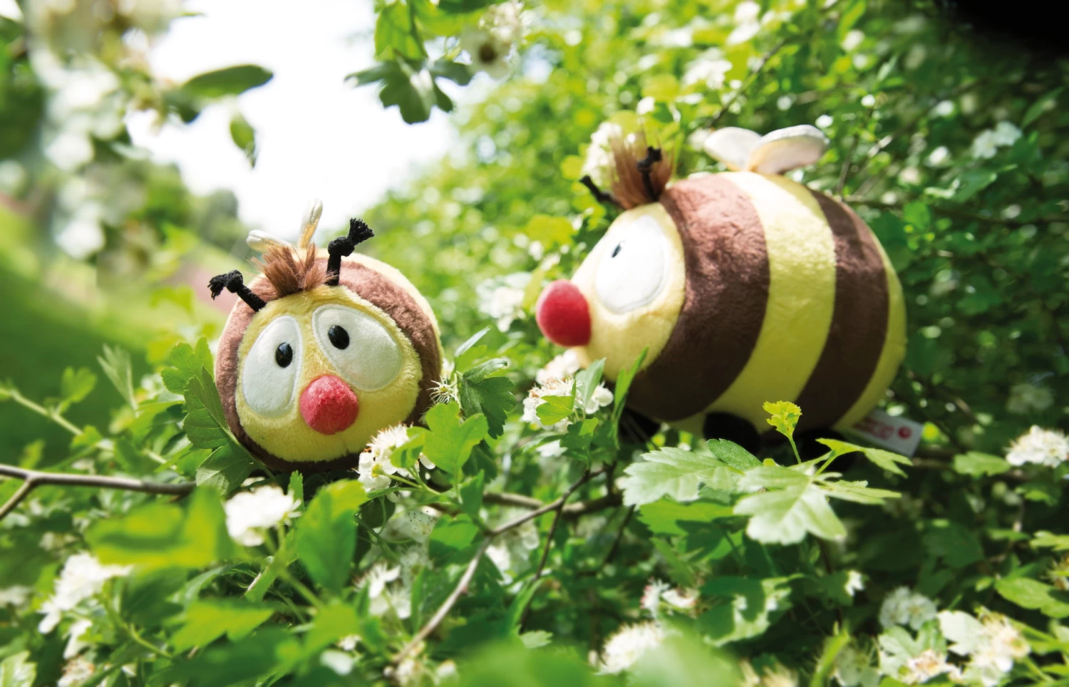 Nici 44481 Biene Classic Bear Bär Ca 17cm Plüsch Kuscheltier 5 Nici 44481 Biene Classic Bear Bär Ca 17cm Plüsch Kuscheltier – Bild 5