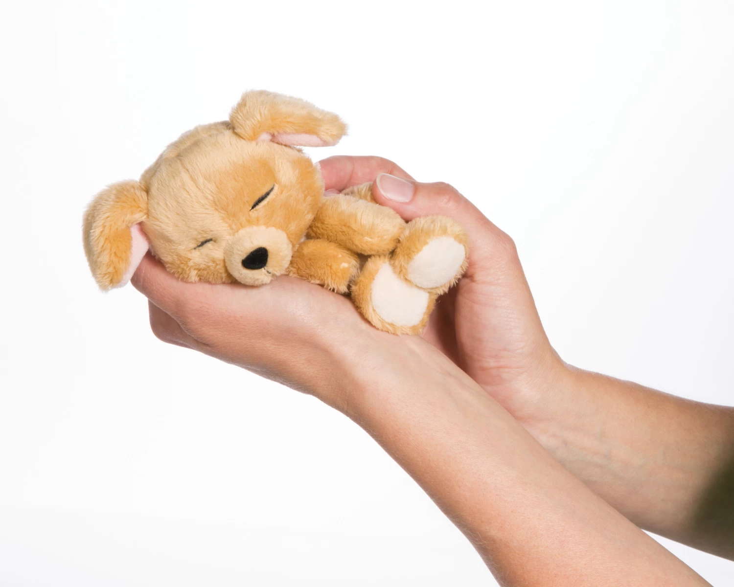 Nici 48111 Sleeping Puppies Schlafendes Hundebaby Im Körbchen 12cm Karamell 2 Nici 48111 Sleeping Puppies Schlafendes Hundebaby Im Körbchen 12cm Karamell – Bild 2