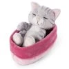 Nici 48086 Sleeping Kitties Schlafende Katze Im Körbchen 12cm Plüsch Grau