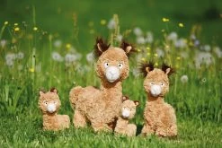 Nici 48602 Alpaka Al Paka 20cm Stehend Plüsch Kuscheltier GREEN -Nici 48606 12 48604 48602 48608 Milieu 2048x1366 2