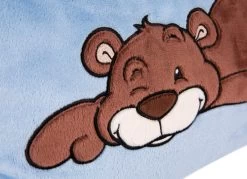 Nici 48788 Kissen Bär Malo Rechteckig 43x25cm Plüsch GREEN Classic Bear -Nici 48788 03 ZA Frei 2048x1484