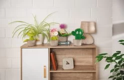 Nici 48943 Aloe Vera Pflanze Willibald 18cm Plüschfigur GREEN Funny Flowers -Nici 48941 11 Milieu 48942 48943 48944 Milieu me
